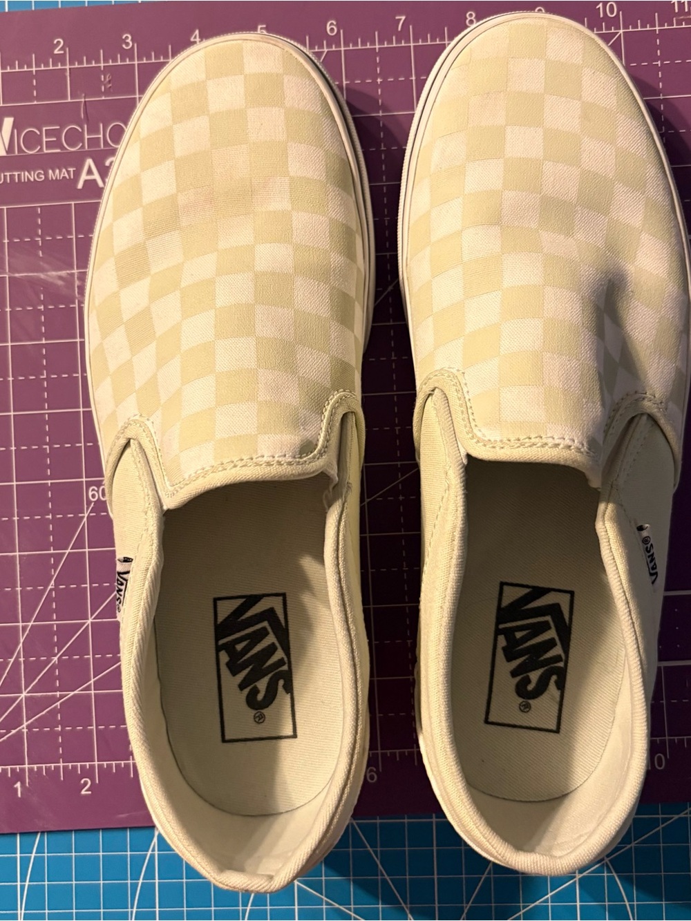 Vans Asher Women’s Checkerboard Slip-On Sneakers in mint